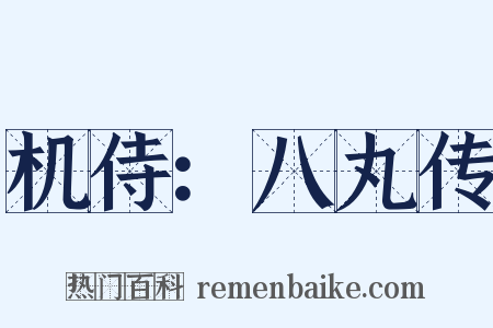 机侍：八丸传是什么意思的图片